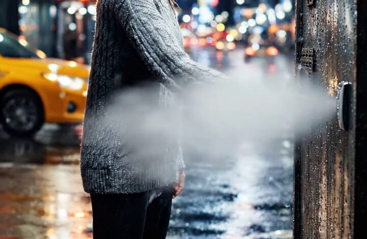 Mon mari m'a laissé à l'extérieur d'un appartement de New York au milieu de l'hiver, mais le nombre que j'avais sauvé pendant cinq ans a apporté une ligne de voitures noires à la courbe avant que sa mère n'ait fini de sourire