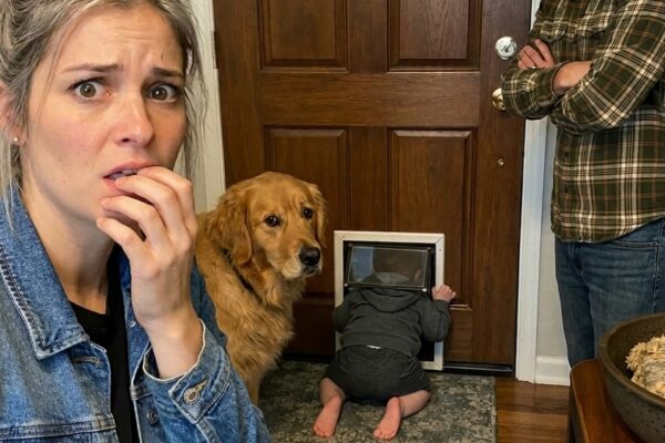 Ma belle-sœur a laissé son tout-petit ramper dans notre maison par la porte du chien – nous pensions qu’elle aimait juste notre chien, jusqu’à ce que nous découvrions la caméra cachée, l’argent manquant et la terrifiante raison pour laquelle elle étudiait notre maison depuis trois maisons plus loin.